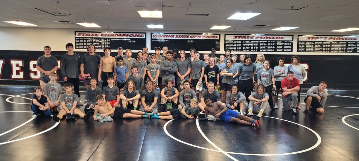 Will Evans tweet media