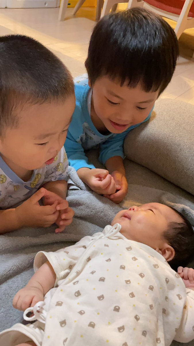 ren0814's tweet photo. 可愛いと可愛いと可愛い。 https://t.co/h8dY9sCfJd