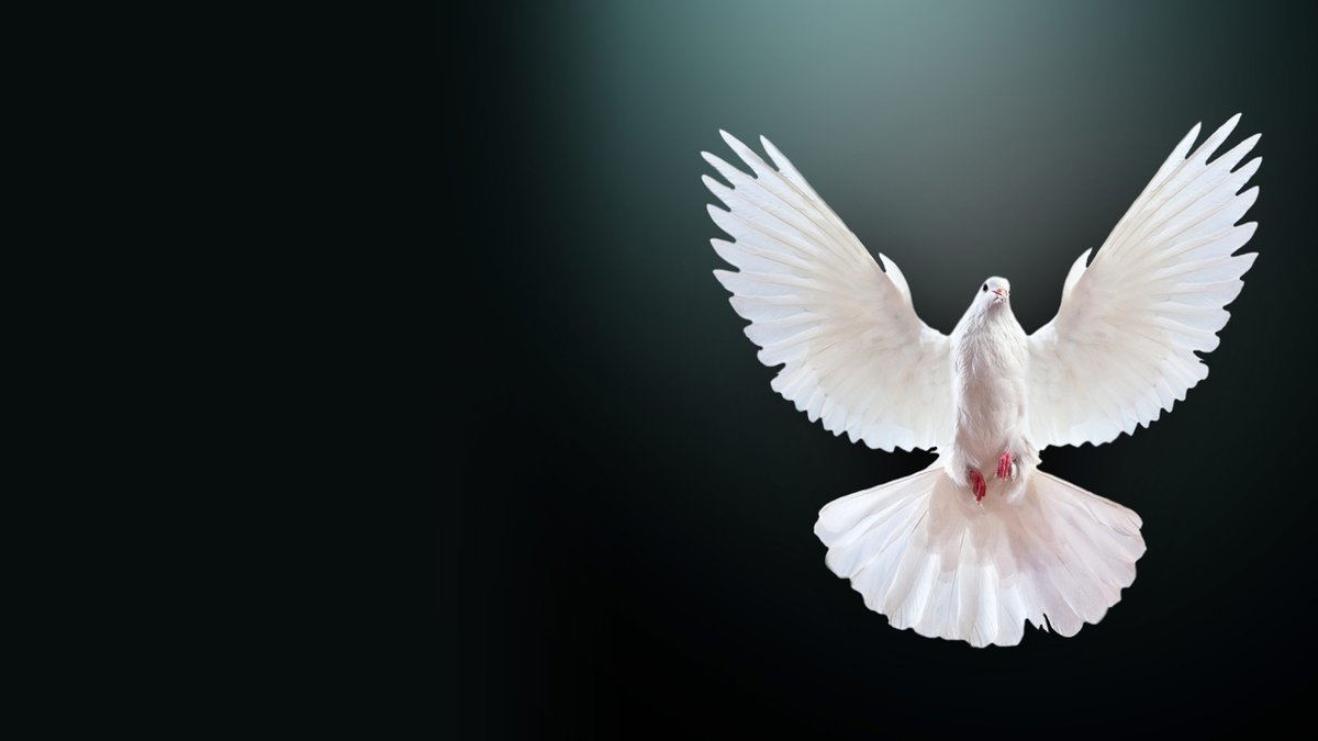 #CrimeSiPoa creed says you exercise your rights responsibly and protect other people's rights too on #Maandamanowednesday and always.