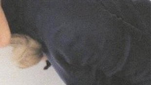 ArianaWorldHQ's tweet image. 🤍