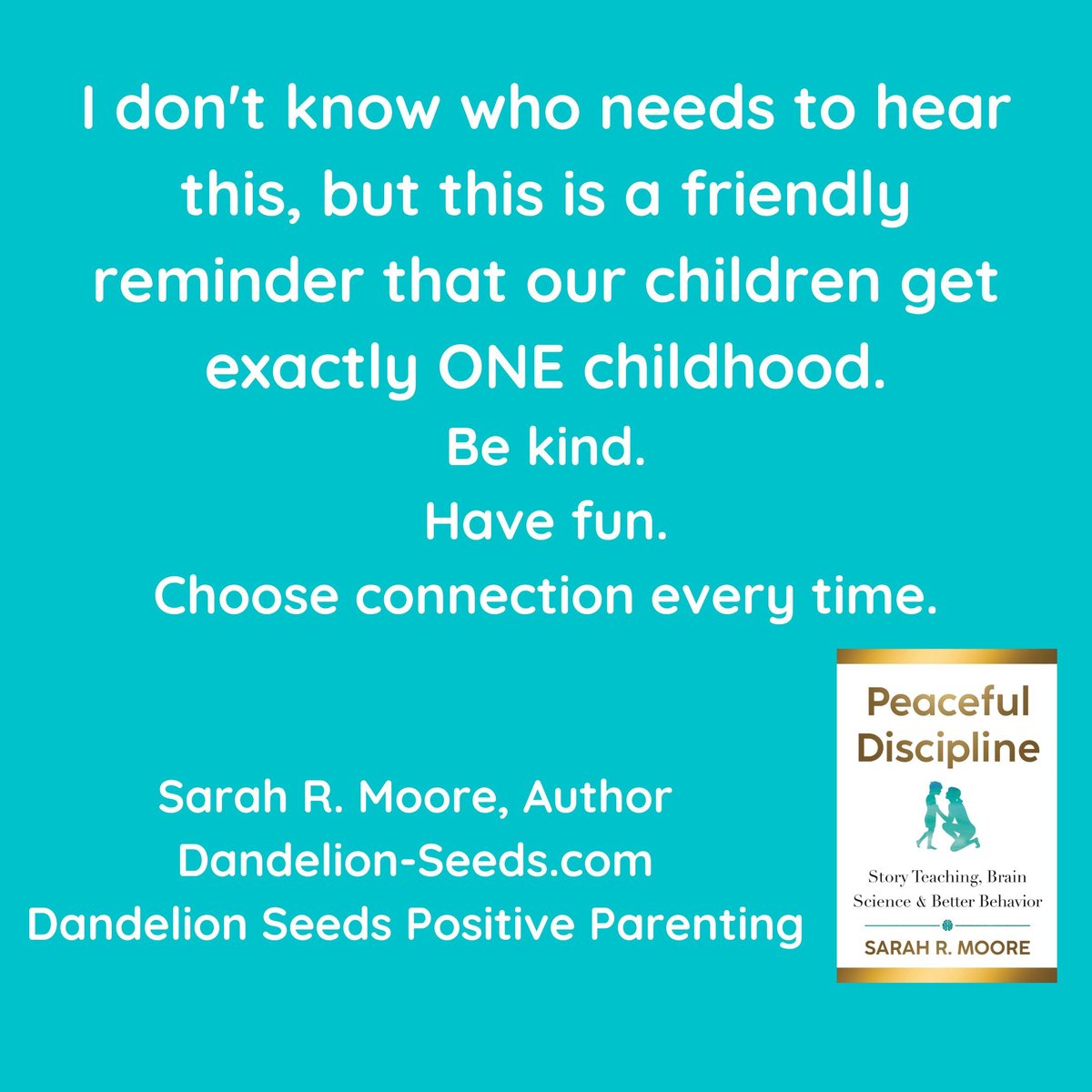 Reminder to myself and to anyone else who needs it. ❤️

#bekind #havefun #enjoylife #lightenup #playfulparenting #playmore #childhood #consciousparenting #intentionalparenting