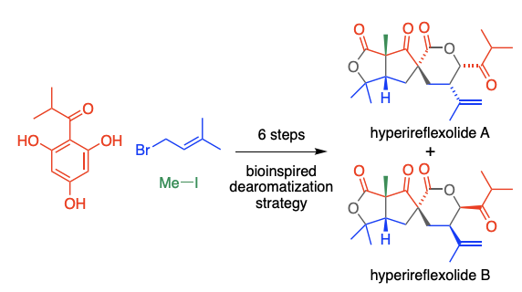 Jonathan George (@jonathanhgeorge) on Twitter photo Latest total synthesis is on ChemRxiv - a truly comprehensive dearomatization strategy!
Congratulations to <a href="/AndreaszBonsen/">Andreas zur Bonsen</a> and thanks to <a href="/chriszombiechem/">Chris Sumby</a> for the X-ray structures
Bioinspired Total Synthesis of Hyperireflexolides A and B | ChemRxiv - go.shr.lc/3DbWbkc Latest total synthesis is on ChemRxiv - a truly comprehensive dearomatization strategy!
Congratulations to <a href="/AndreaszBonsen/">Andreas zur Bonsen</a> and thanks to <a href="/chriszombiechem/">Chris Sumby</a> for the X-ray structures
Bioinspired Total Synthesis of Hyperireflexolides A and B | ChemRxiv - go.shr.lc/3DbWbkc