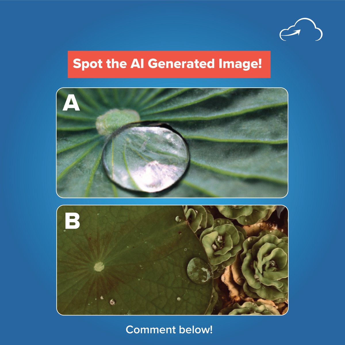 Here is the second Image! Put on your detective goggles and spot the AI generated image! Comment with your answer, option A, option B. Act quickly! The competition is growing fiercer with each passing moment!

#PerceptionChallenge #AIvsHuman #SpotTheReal #VisualAcumen…