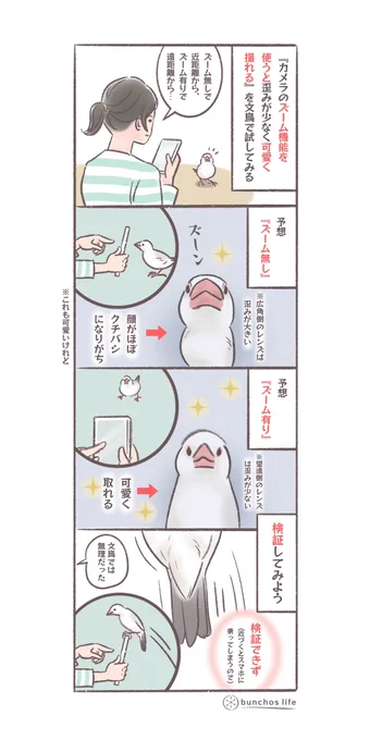 カメラのズーム機能有り無しでどれだけ変わるのか試してみたけどやっぱり無理だった
#文鳥 
#4コマ漫画 

*過去作ダウンロードできます!(固定ツイート参照) 