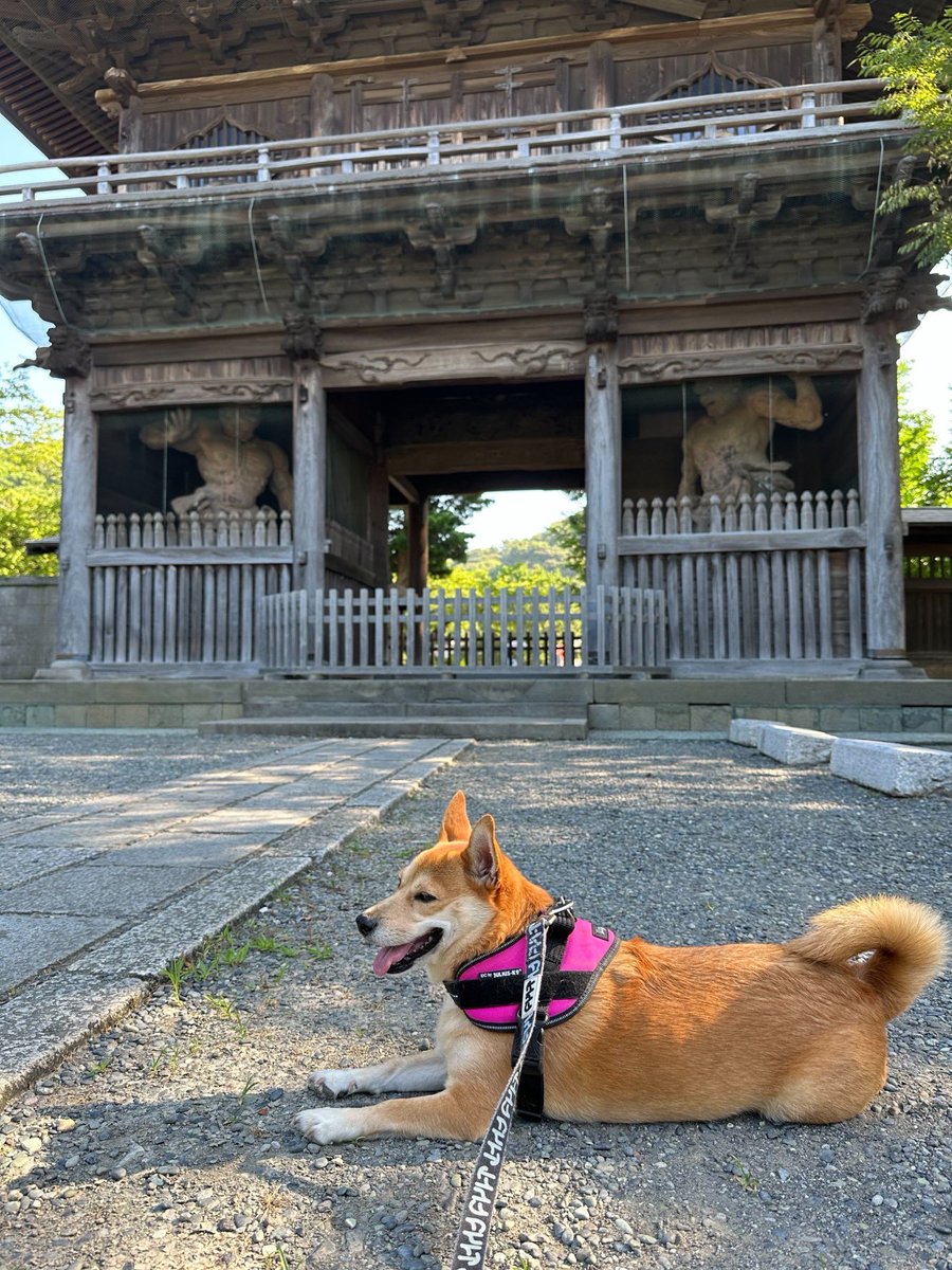 本日と明日はお休みとなっております。
金曜日より通常営業です。

どうぞよろしくお願いいたします🙇‍♀️