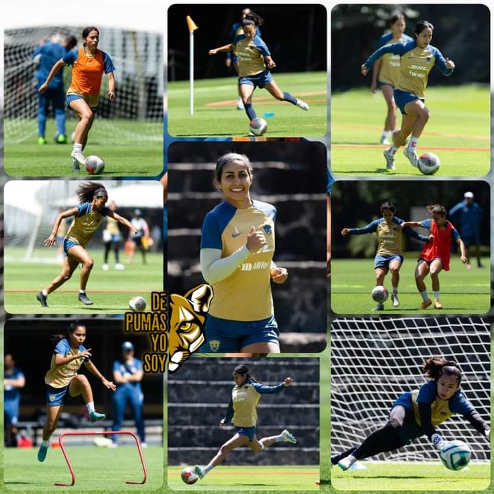 📷 | Practica del día de Pumas femenil previa a semana del debut frente a las cremas.
😎👊🏻🔹🔸✨❤️

#DePumasYoSoy #OrgulloAzulyOro #VengaPumas #PorLaOctava #pumasMx #depumasyosoymx #GarraYEntrega #PorTiUniversidad #ComoNoTeVoyAQuerer #CopaMX #VamosUNAM #DePumasYoSoy #OrgulloAzul