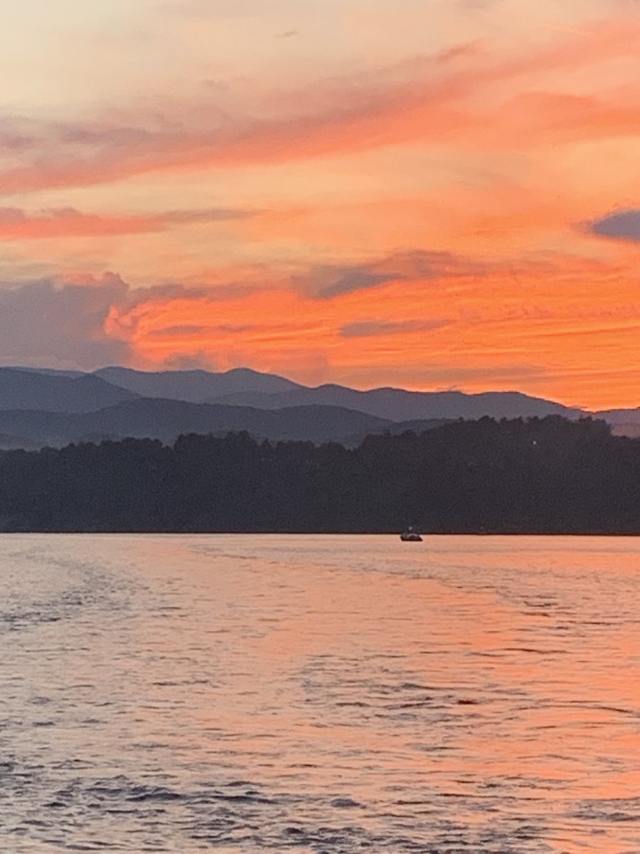 Gene 13 (@genethirteen) on Twitter photo 