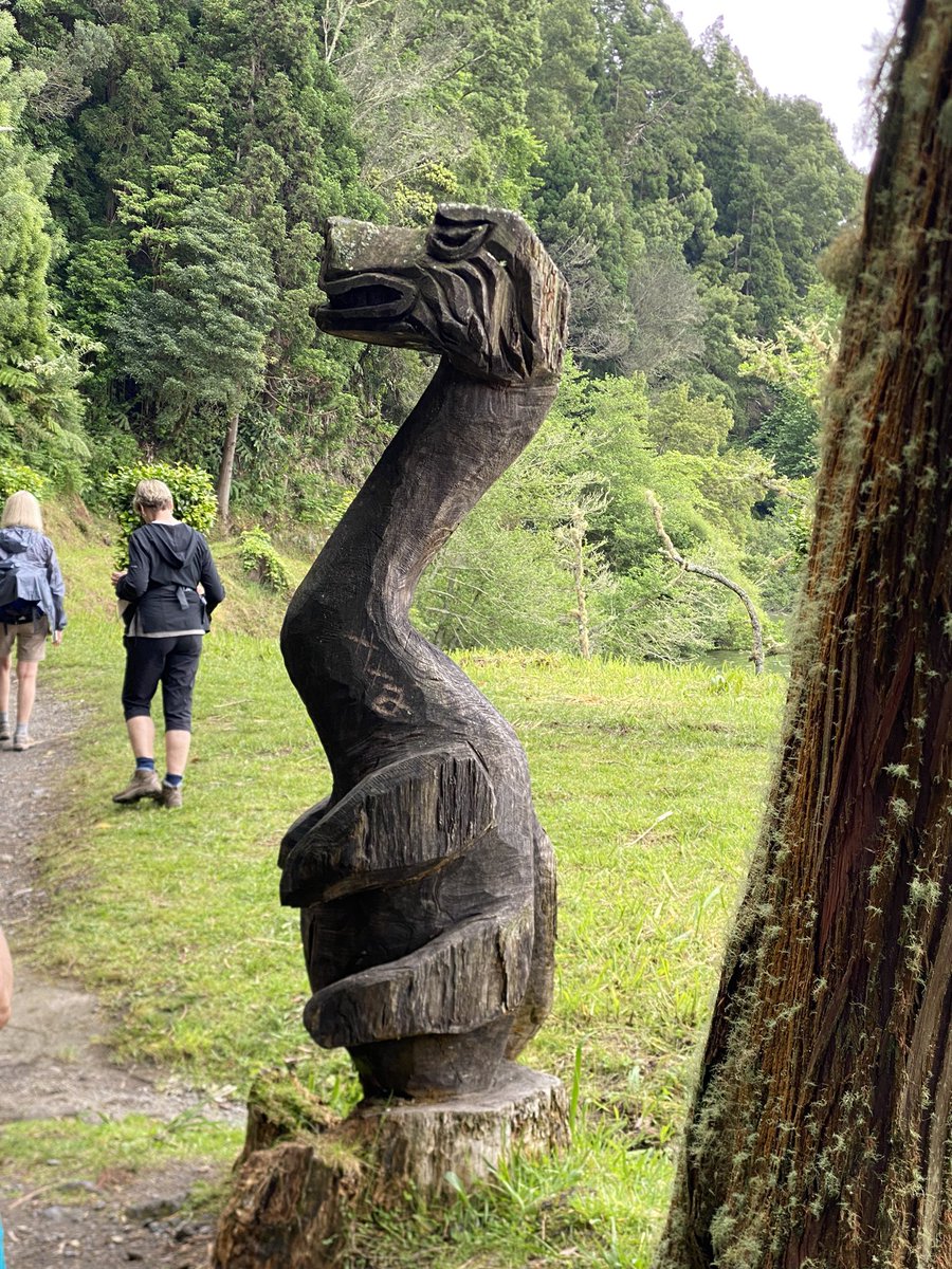 Pgoerner tweet media