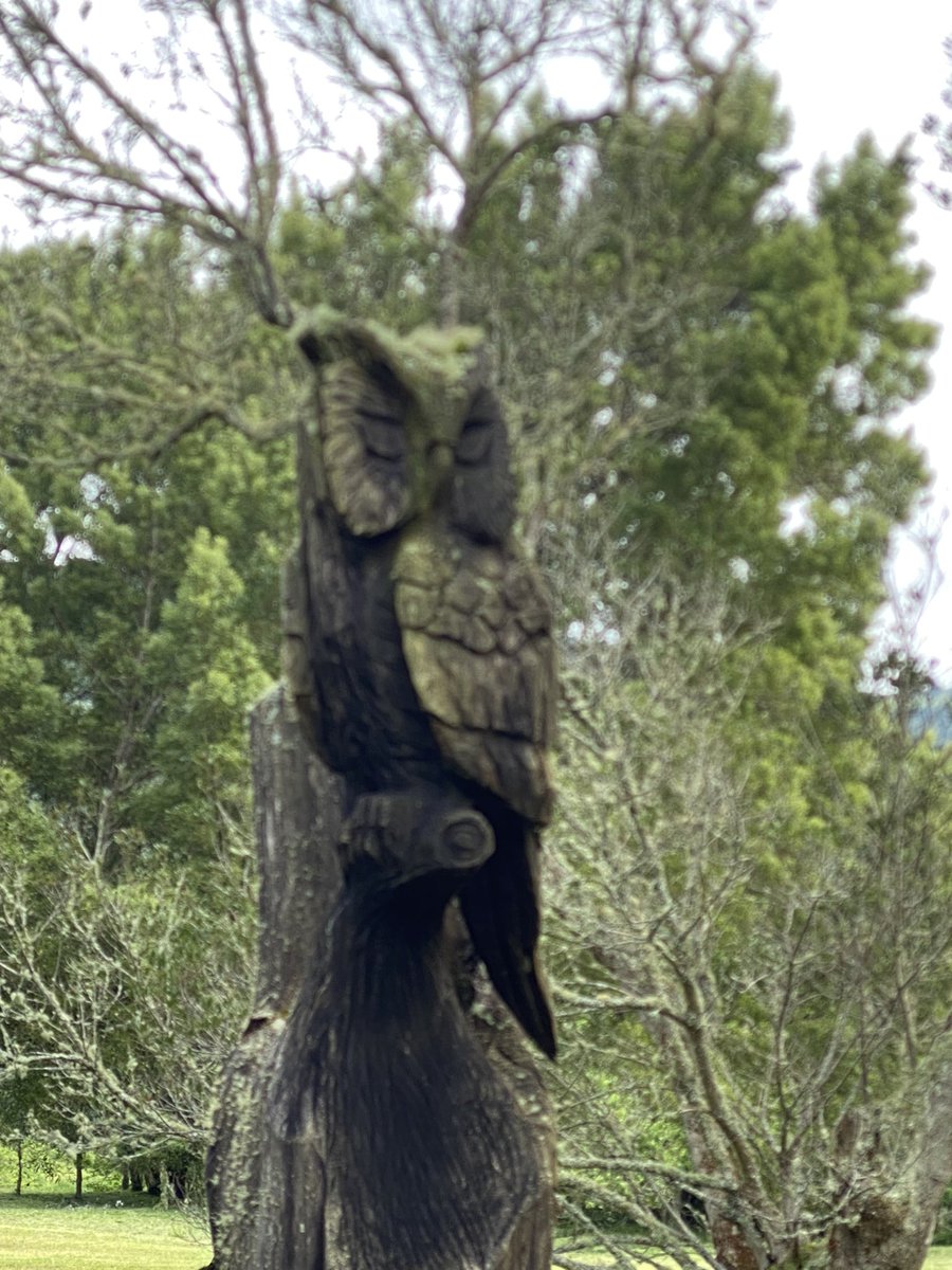 Pgoerner tweet media