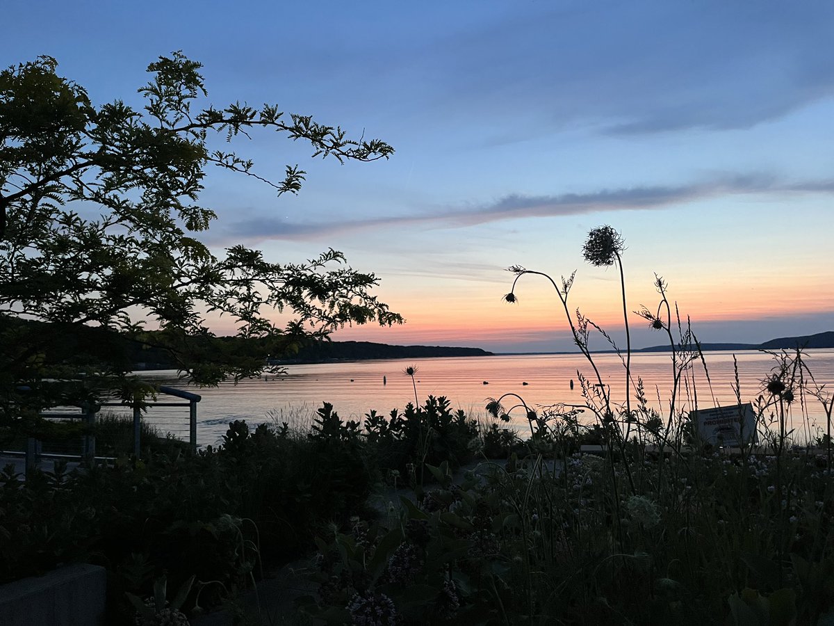 DAnnStelly's tweet photo. Hello all!
I’ve been at the lake. https://t.co/KT73NsQrmi