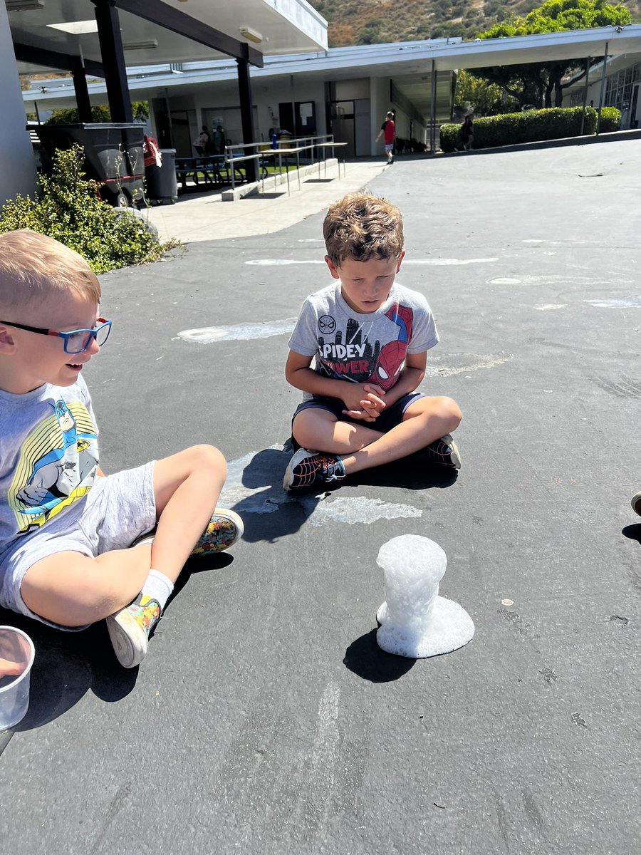 Miss Ellison tweet media