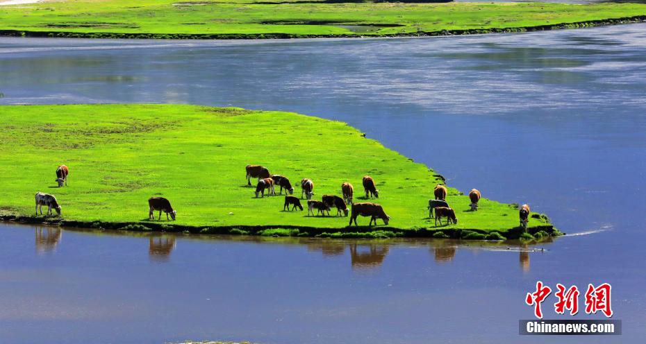 PDChinaLife's tweet image. Here's a picturesque scenery at the Hulun Buir grassland in north China's Inner Mongolia Autonomous Region - a must-see view to behold.