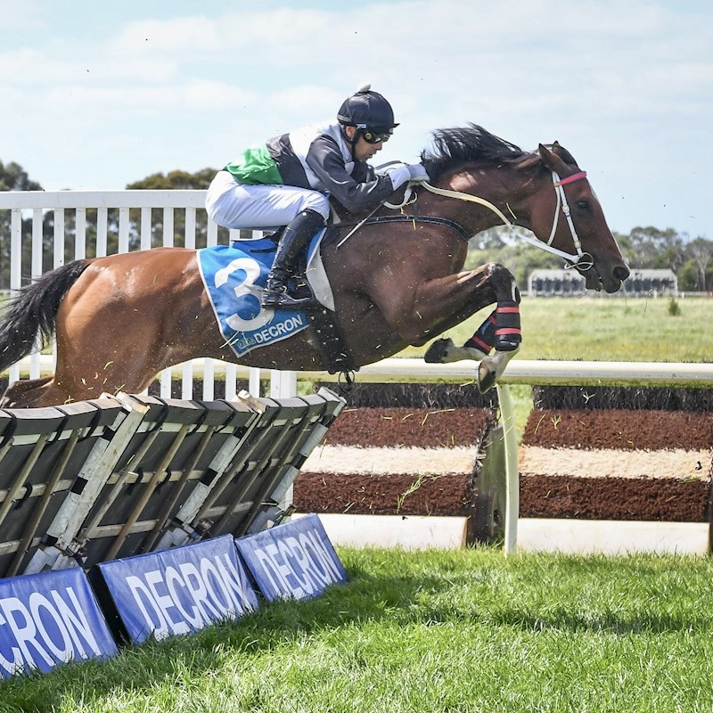 Australian Jumps Racing Association on Twitter: