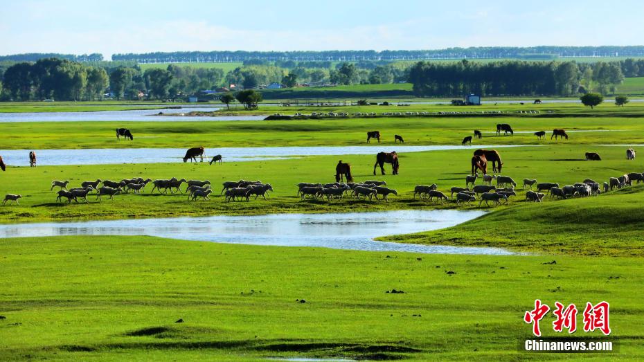 PDChinaLife's tweet image. Here's a picturesque scenery at the Hulun Buir grassland in north China's Inner Mongolia Autonomous Region - a must-see view to behold.