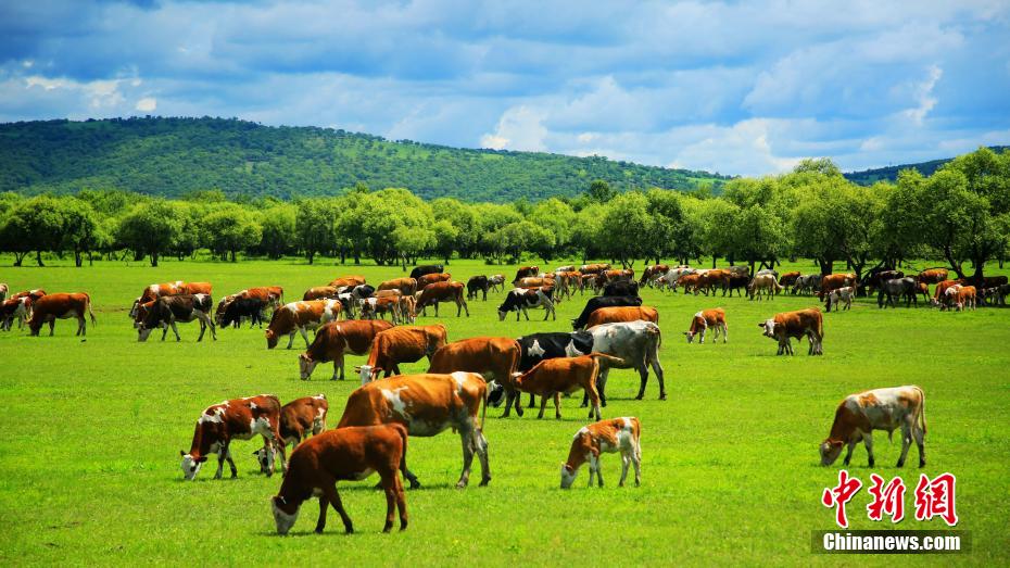PDChinaLife's tweet image. Here's a picturesque scenery at the Hulun Buir grassland in north China's Inner Mongolia Autonomous Region - a must-see view to behold.