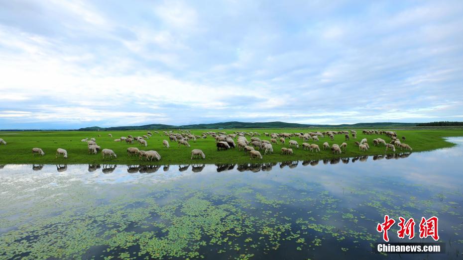 PDChinaLife's tweet image. Here's a picturesque scenery at the Hulun Buir grassland in north China's Inner Mongolia Autonomous Region - a must-see view to behold.