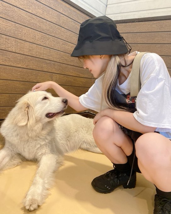 コスプレイヤーつんこのTwitter画像5