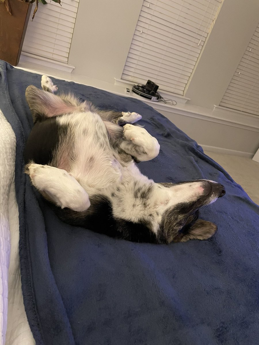 Amy McEvoy tweet media