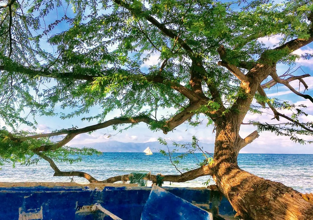 It’s hard to argue against the dominant narrative: The case for carbon central banks, a brilliant essay by an old friend, grumpy professors “telling it how it is”.  #keeppushingthatrock 
Magpie Chronicles 16/ buff.ly/3pHKMFW