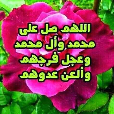Syed AghaAli Moosavi tweet media