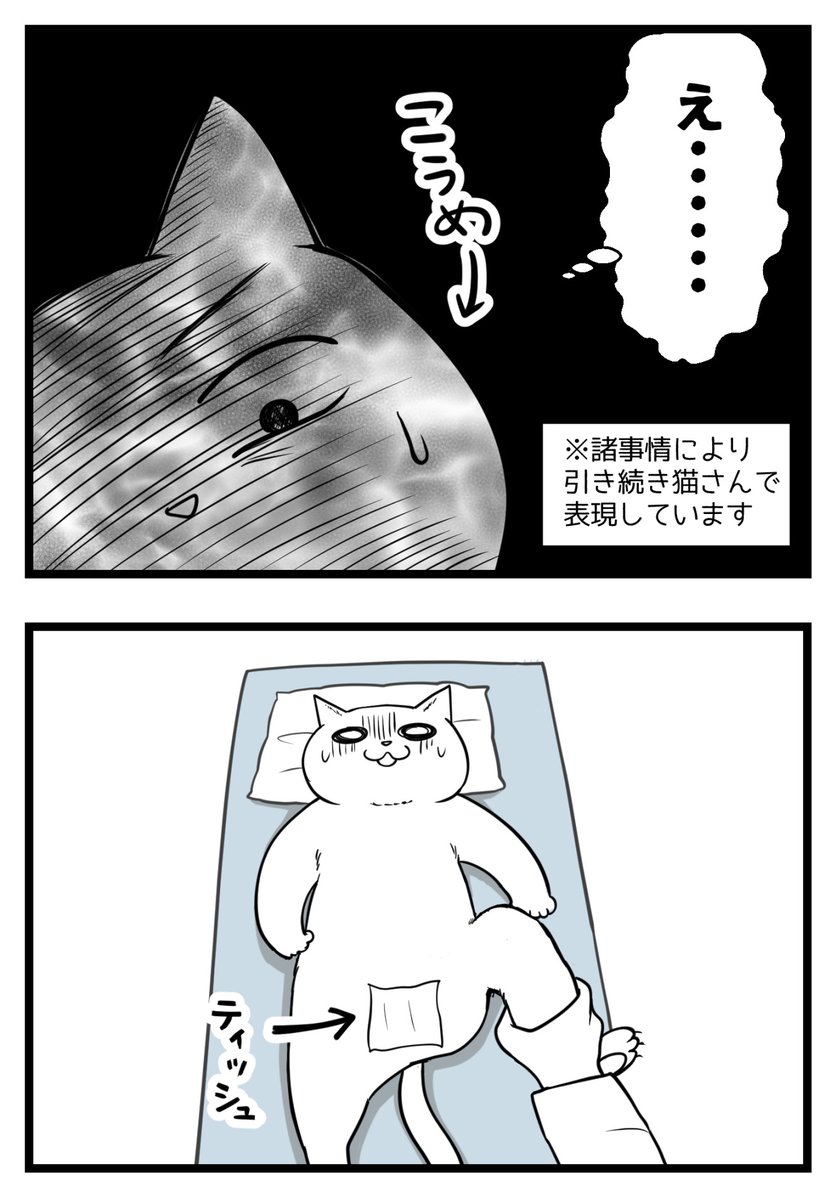 （3/3） https://t.co/hunW5Gbt3o