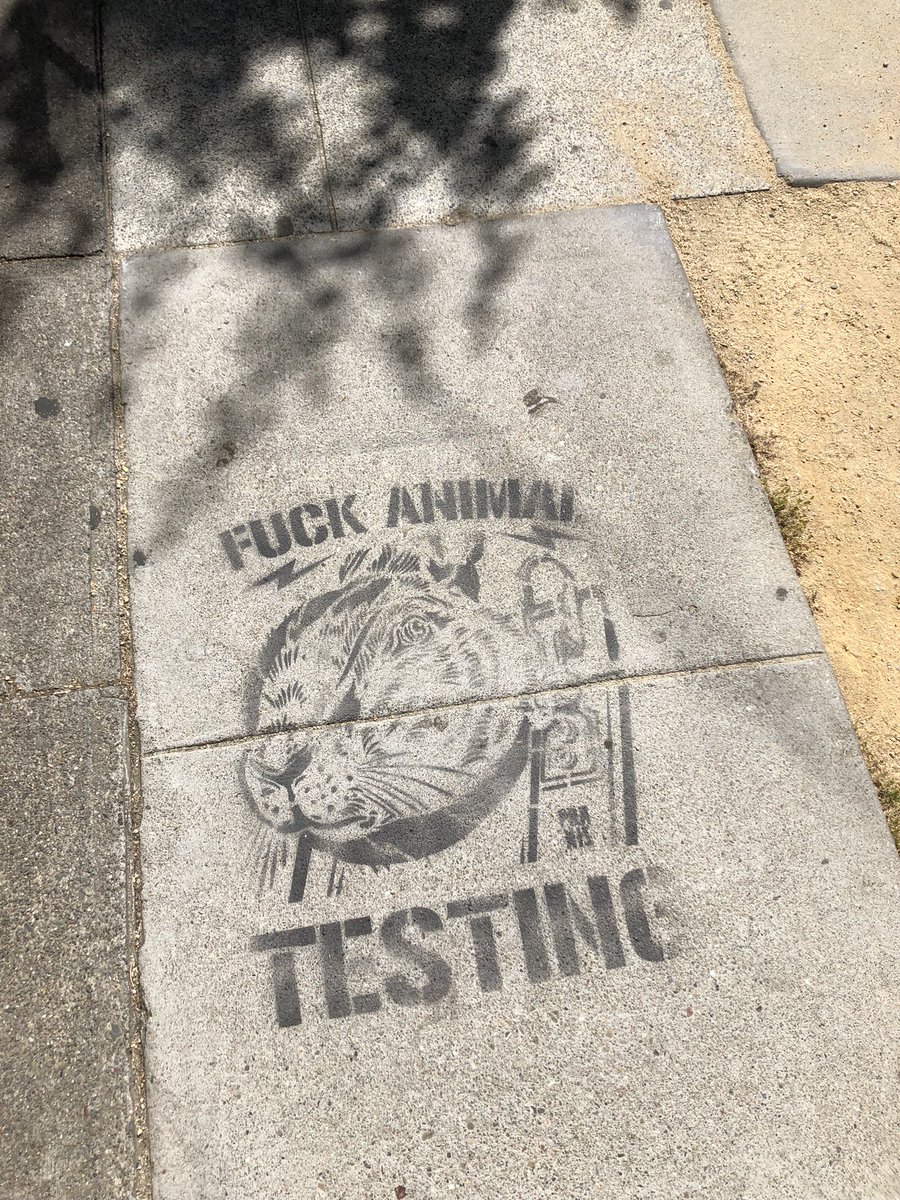 Jean-Louis Villecroze tweet media