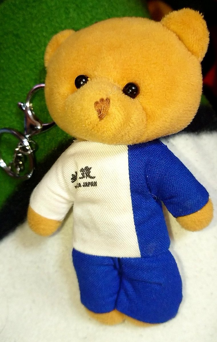aomb0715pit's tweet photo. 本日朝の7時～8時30分の間に、ぬいぐるみを落としてしまいました
下伊田駅～福岡県立大学で落とした可能性が高いです

高校時代から大切にしていた物なので、ショックだし心配で堪りません
もしも見かけた心優しい方は、お声掛け頂けますと幸いです😭
どうかよろしくお願いいたします

 #拡散希望 https://t.co/ZMw2sQL047