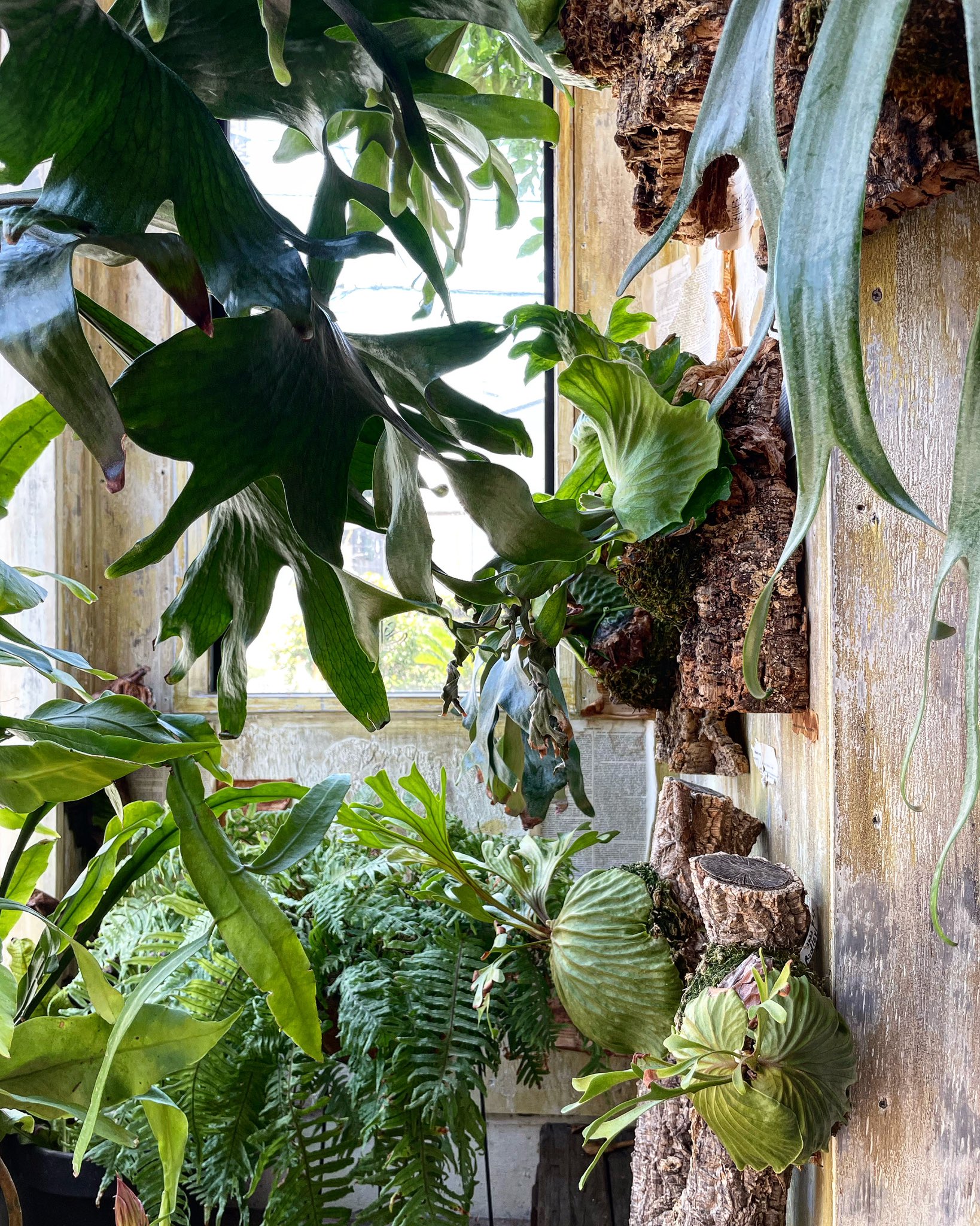 JOGLAR ジョグラール on Twitter