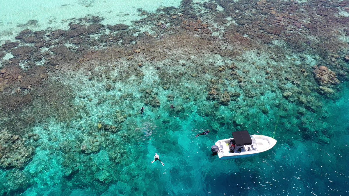 Kyle Morgan (@kylecoral) on Twitter photo 📢Fully funded #PhDposition to work on #carbonatebudgets of Southeast Asia #coralreefs. Fieldwork at awesome #reef sites with great colloborators. Submission deadline end of July. Start date Jan 2024. DM or email me with CV <a href="/ntu_ase/">Asian School Of The Environment</a> <a href="/EOS_SG/">Earth Observatory SG</a> 📢Fully funded #PhDposition to work on #carbonatebudgets of Southeast Asia #coralreefs. Fieldwork at awesome #reef sites with great colloborators. Submission deadline end of July. Start date Jan 2024. DM or email me with CV <a href="/ntu_ase/">Asian School Of The Environment</a> <a href="/EOS_SG/">Earth Observatory SG</a>
