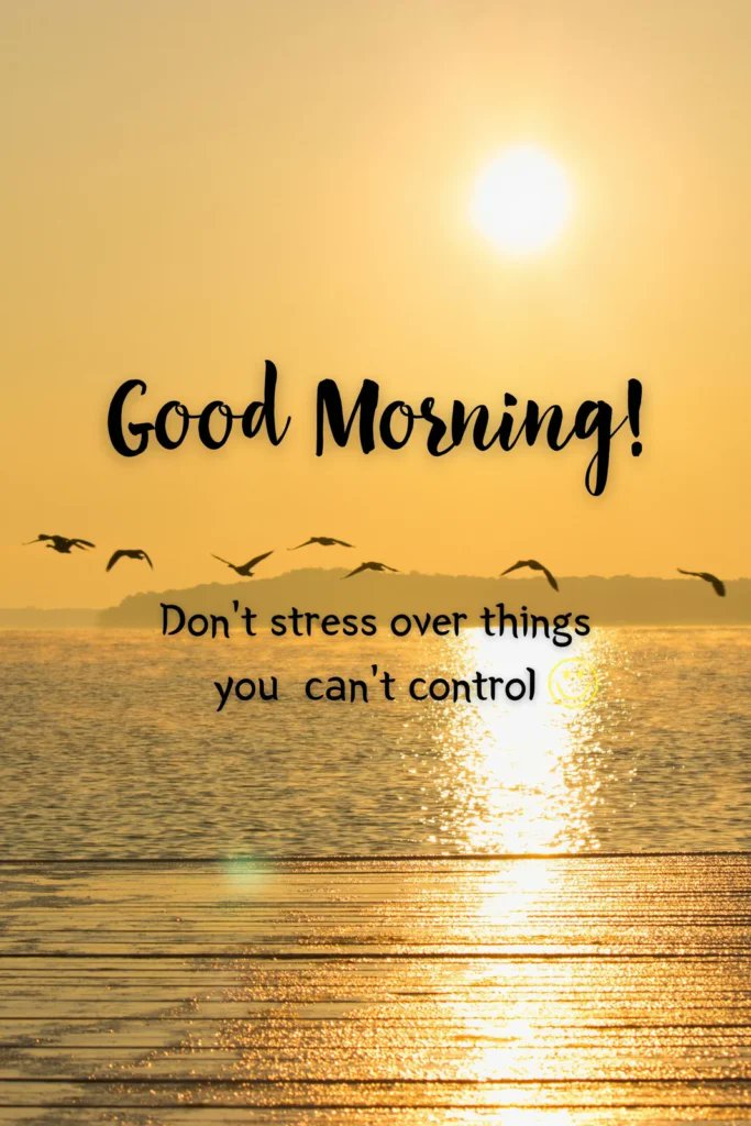 TradetTo_live3's tweet photo. good morning everyone https://t.co/TPgExEHAgi