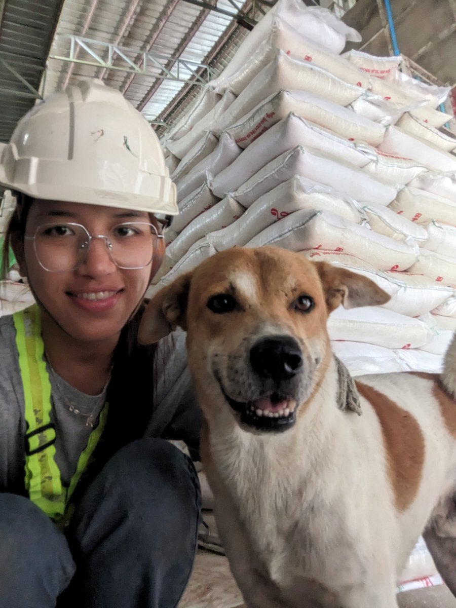 MWinMyanmar's tweet photo. Visitors when we did Corrective Maintenance at Kyauk Taw
#IndigoEnergy #solar #CorrectiveMaintenanceService #Yadanarricemill https://t.co/30GDrFFSbH
