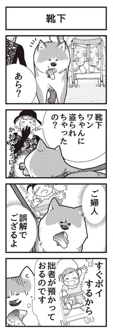 毎月12日は、ワンにゃんの日🐕🐈✨  4コマ漫画 『アルくんとシュシュちゃん』 最新話が更新されましたー!  【1話〜6話全て無料】  🐶武士みたいな秋田犬と 😼美意識の高いソマリ 👶天真爛漫な1歳児  この可愛い3人を ぜひ見に来てやって下さい🍀  #4コマ漫画 #いぬ #秋田犬