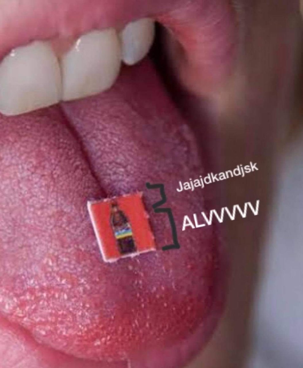 BreakinGatos's tweet image. Alv