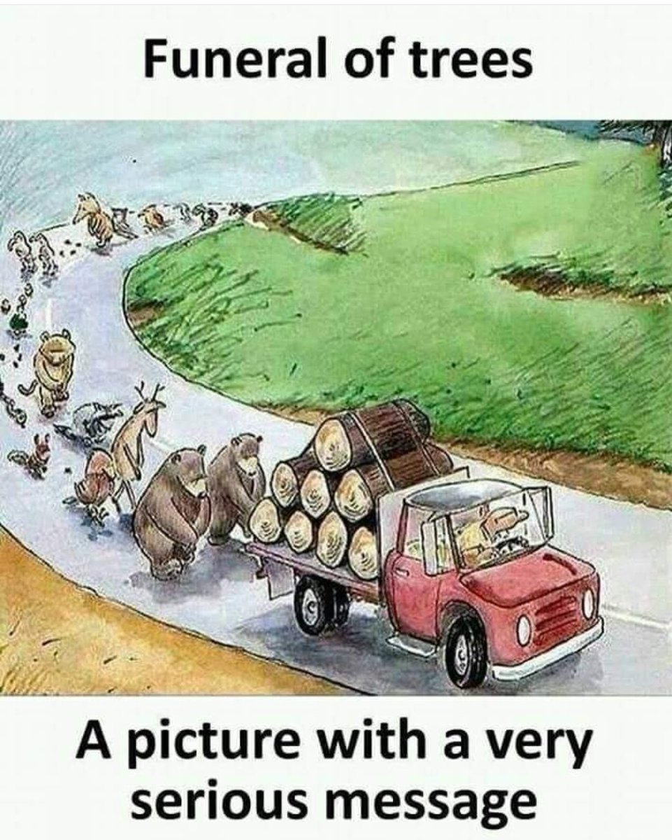 nayleson's tweet photo. The return of logging.
President Willian Ruto lifts ban on logging in account of Job creation https://t.co/Fy1td6loTs