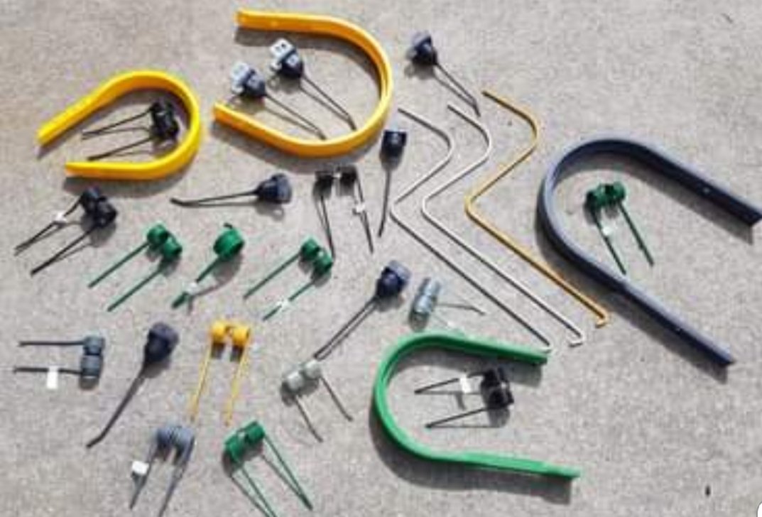 Groundhog tweet media