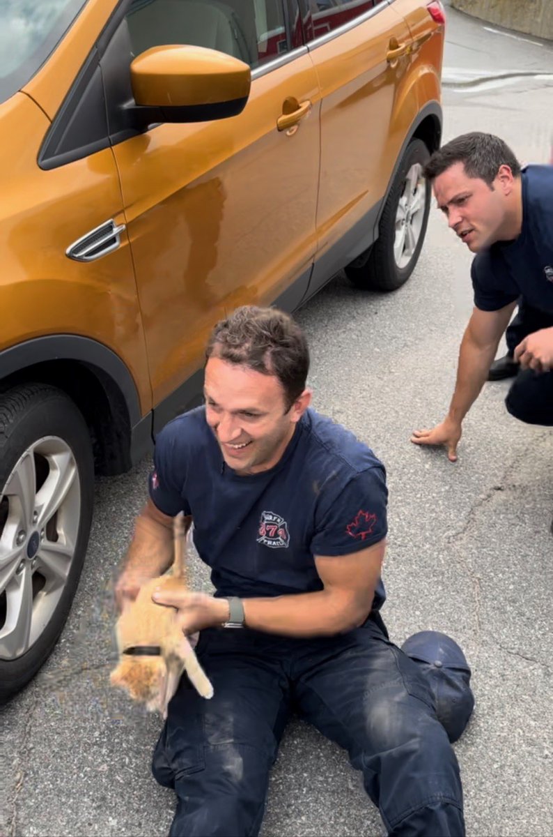 Trail Firefighters tweet media