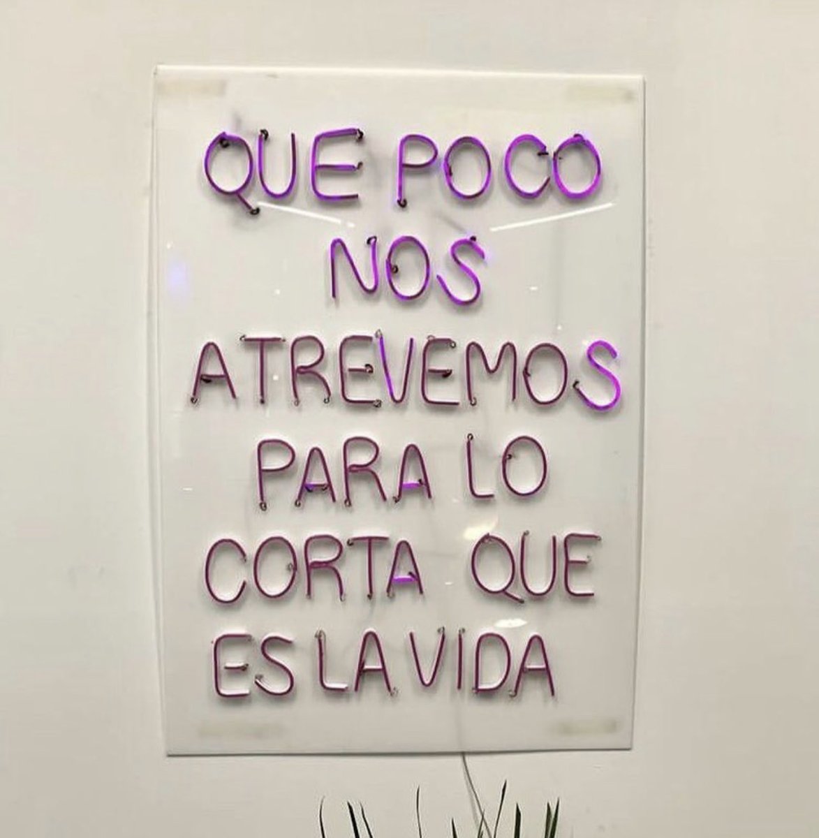 𝕋𝕖𝕩𝕥𝕠𝕤 𝔽𝕒𝕧𝕠𝕣𝕚𝕥𝕠𝕤 ⭐️ (@textosfavoritos) on Twitter photo 