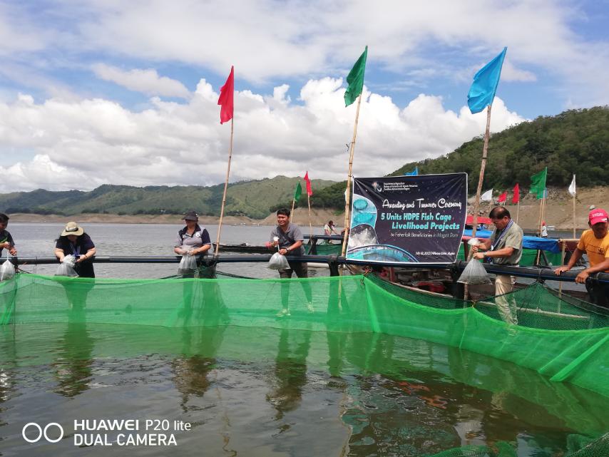 Philippine News Agency on X: LOOK: The Bureau of Fisheries and Aquatic  Resources-Cordillera stocks 60,000 Nile tilapia in five fish cages at the  Magat Dam that are owned and operated by fisherfolk
