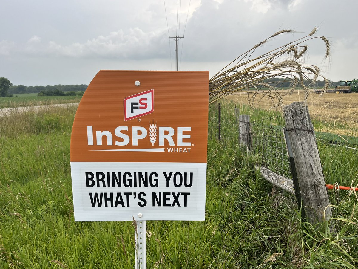 ilsoilnerd's tweet photo. 🌾An amazing year for wheat here in west central Illinois .I am thankful to have a strong lineup in the FSInSPIRE Bag to share with our growers. We are blessed to report FS 597 tipped the scales yielding over 135 bu per acre!! 🌾@InVISION_HiSOY @BrianManahan2
#InSPIREconfidence https://t.co/LkO6Gadr7d