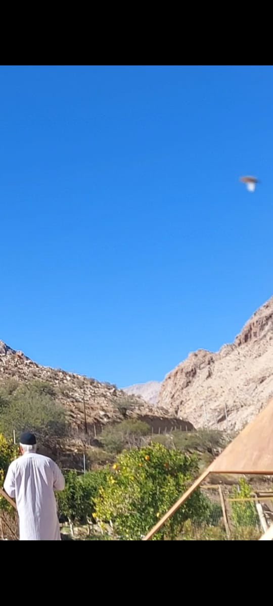 hernan_ahumada's tweet photo. En el valle de Elqui , NO estamos solos 🛸, imagen sector Cochiguaz https://t.co/bbzrUSKDnv