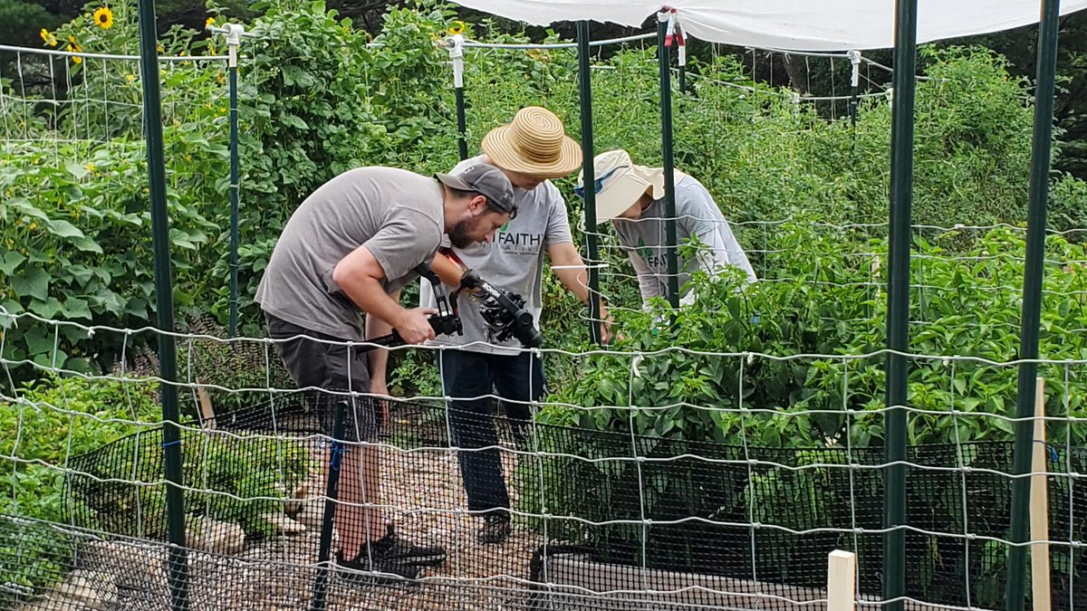 mtobiasNE's tweet photo. "What If..." in the garden! For our @trifaithomaha story we visited volunteers at Tri-Faith Unity Garden, where they grow food for the needy &amp; learn about each other's faiths at the same time. 
FYI, my potato digging skills are solid. 😄
Innovation + Creativity = #WhatIfNebraska https://t.co/8uhMMjsDMA