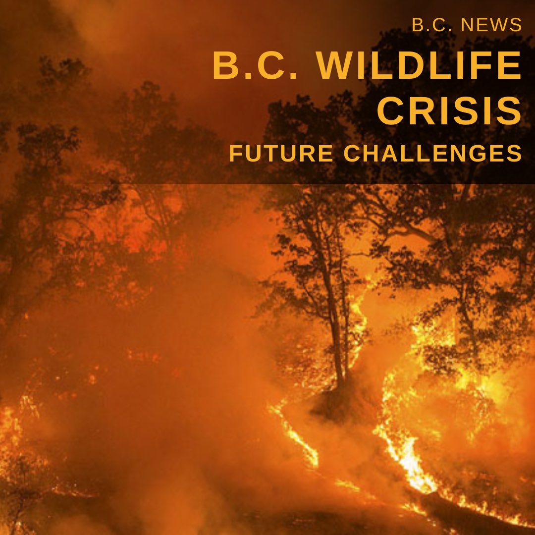 BC Nature tweet media