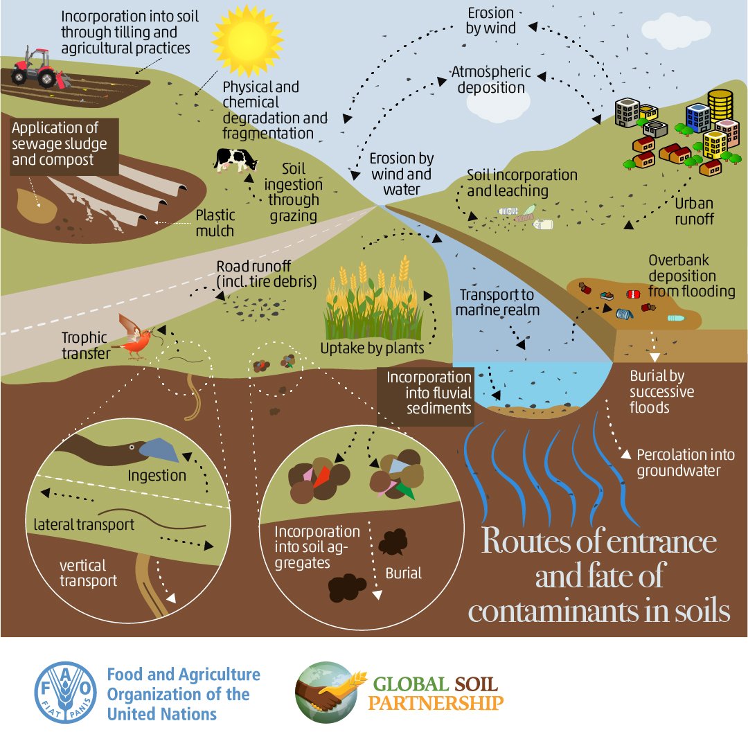 #SoilPollution affects

🍎the food we eat 
💨the air we breath 
💦 the water we drink 

Learn how contaminants can enter #soil through various routes and affect our environment👇🏿👇🏿👇🏿

Check out the Global Assessment of Soil Pollution for more: tiny.cc/wzt6vz #SoilHealth