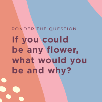 aroocompany's tweet photo. We’re curious! Let us know! 

There are so many to choose from....do you have any picks for us? https://t.co/PHMfyu5TX3