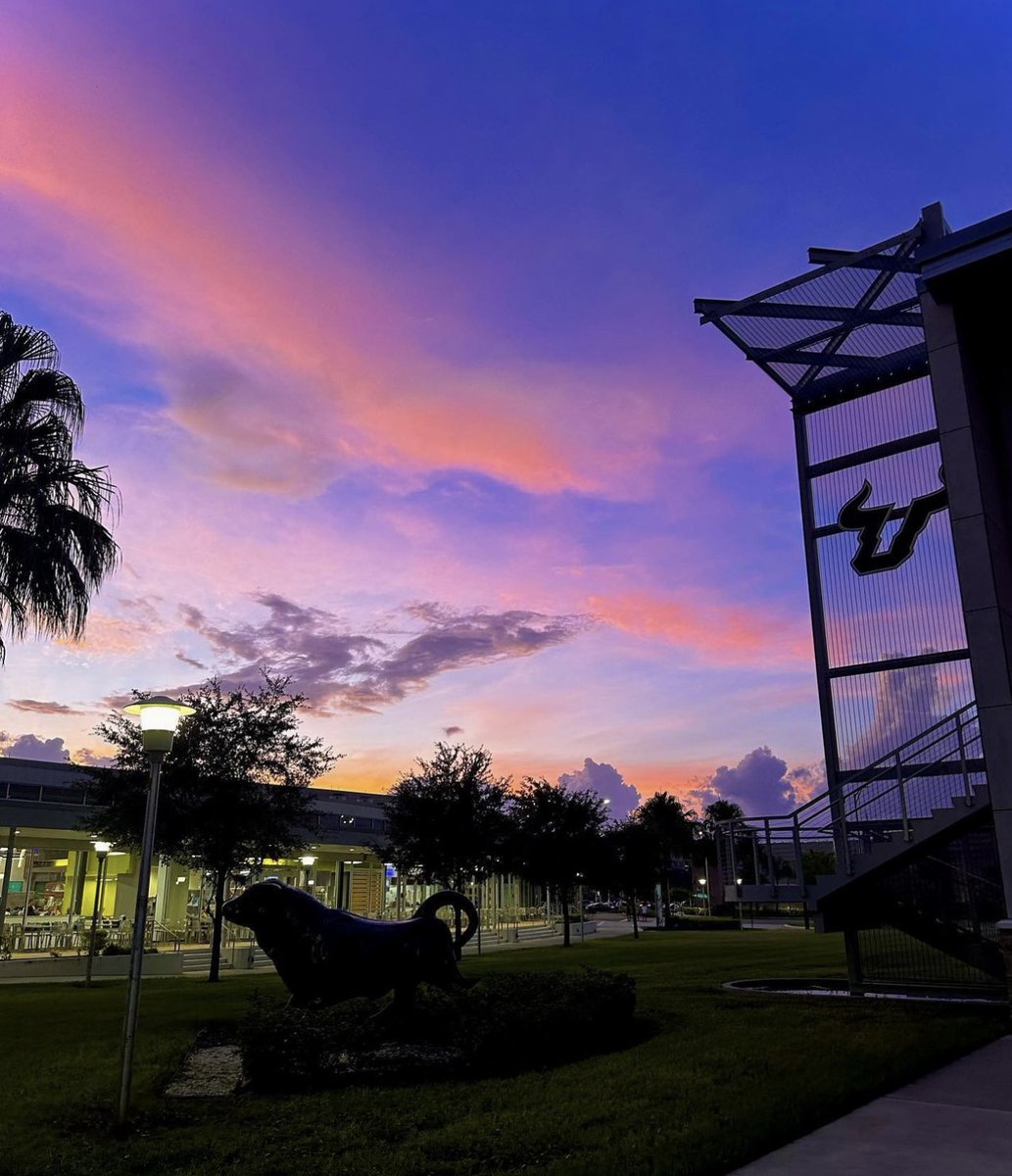 USouthFlorida tweet picture