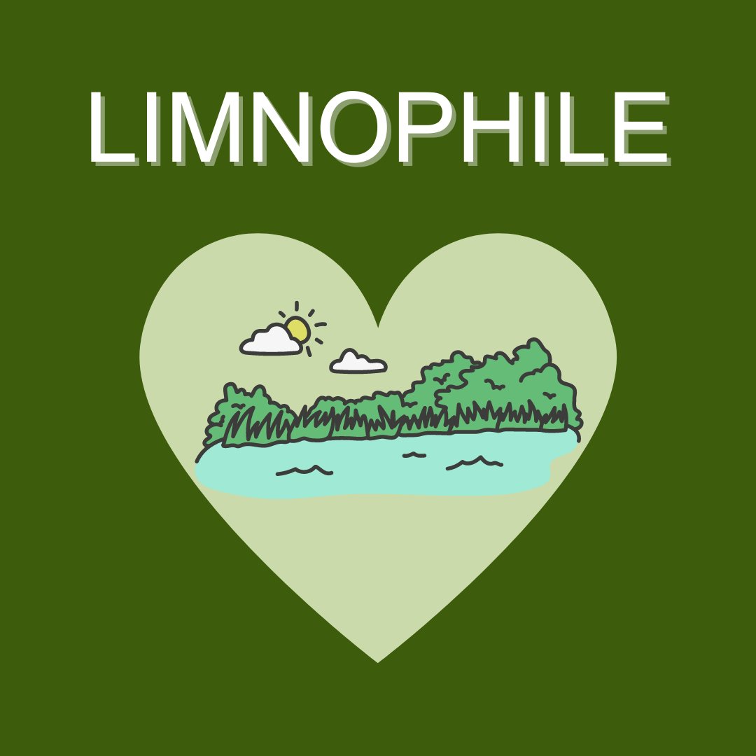 houstoneng's tweet image. Did you know there's a word for a lake lover? ❤️ A "limnophile" is a person who loves lakes, ponds, and marshes. The lake is calling; we must go! #TheMoreYouKnow #Limnophile #LakesAppreciation