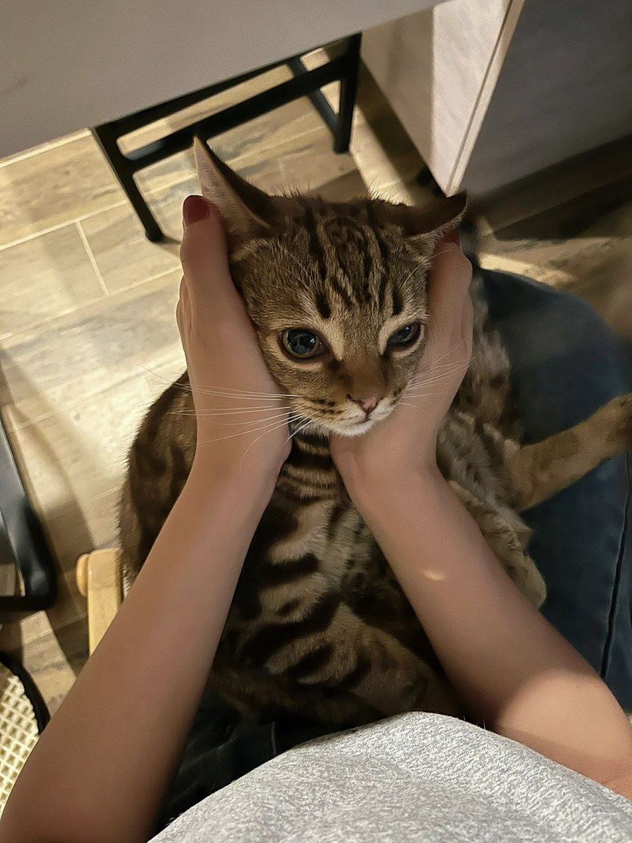 diskskekekks's tweet image. No one can deny you except you.