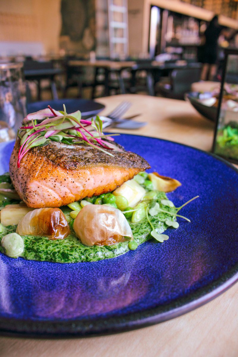 <a href="/LamarJMoore/">chef_ljm</a> has been cooking things up in the kitchen! If you haven’t tried our newest additions to our upgraded Summer menu - then what are you waiting for!? 

#summermenu #foodies #chef #chicagofoodscene #menucreations

Book your next reservation today:
exploretock.com/bronzevillewin…