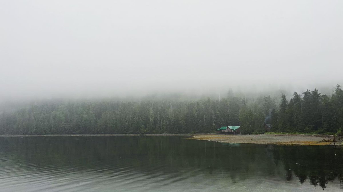 SteamboatBay's tweet photo. 📷 by @higgspeed: Alaska x #SteamboatBayFishingClub Part I:
...majestic views, everlasting memories + phenomenal fishing not possible without incredible crew at Steamboat Bay Fishing Club 🎣 + our generous Sanderson Ford family. Thank you🙏🏼
#FloatPlane #SalmonFishing #Alaska https://t.co/BXSOiNyfHy