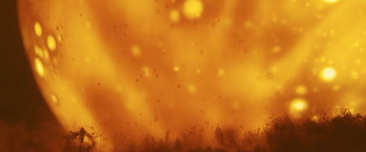 Cinema Tweets tweet media